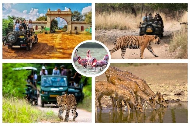 Rajasthan Wildlife Tour Package